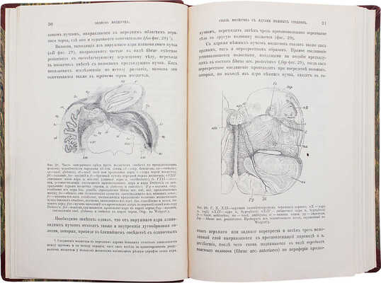 Бехтерев В.М. Проводящие пути спинного и головного мозга. Руководство к изучению внутренних связей мозга. Ч. 2. 1898.